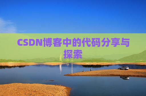 CSDN博客中的代码分享与探索